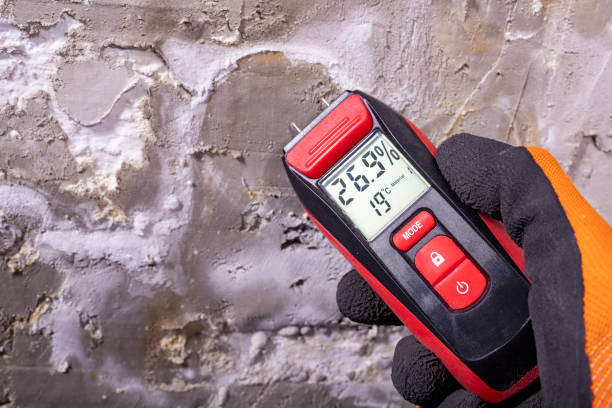 Home Mold Removal in Glen Ellen, CA