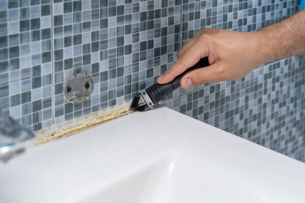 Best Affordable Mold Removal  in Glen Ellen, CA