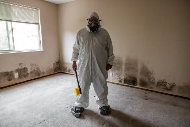 Best Mold Removal Specialists  in Glen Ellen, CA